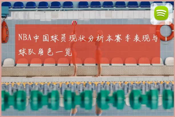 NBA中国球员现状分析本赛季表现与球队角色一览