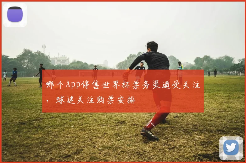 哪个App停售世界杯票务渠道受关注，球迷关注购票安排