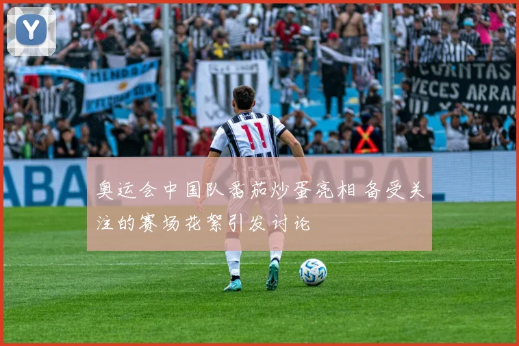 奥运会中国队番茄炒蛋亮相 备受关注的赛场花絮引发讨论