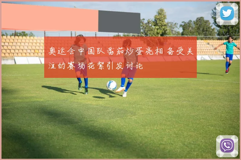 奥运会中国队番茄炒蛋亮相 备受关注的赛场花絮引发讨论